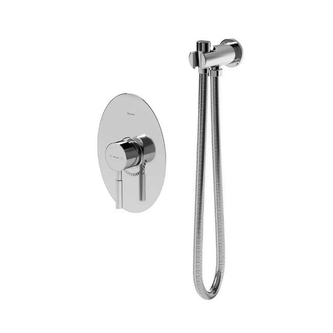 تصویر  شیر توالت توکار شودر مدل روگن BRASS رنگ کروم