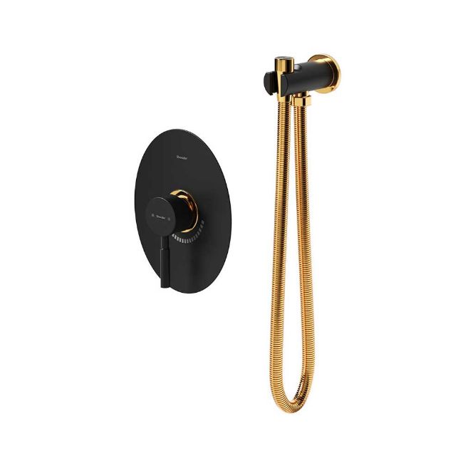 تصویر  شیر توالت توکار شودر مدل روگن BRASS رنگ مشکی طلا